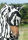 Bucas Buzz-Off Zebra Fliegenmaske