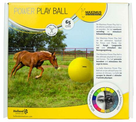 MAXIMUS Power Play Ball 65 cm