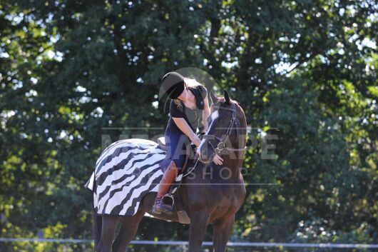 Bucas Riding Rug - Zebra