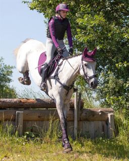 Eventing Gamaschen vorderbein technical