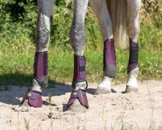 Eventing gamaschen hinterbein technical