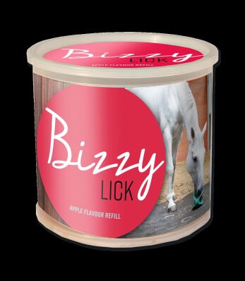 BIZZY Pferde Leckstein, 1 KG