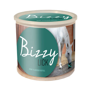 BIZZY Pferde Leckstein, 1 KG Minze