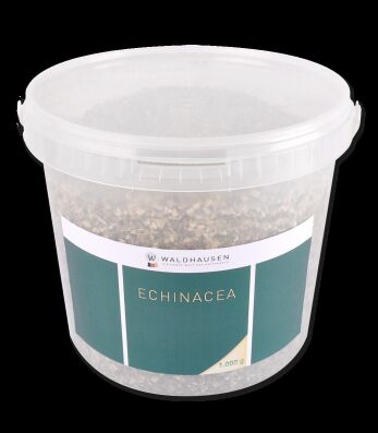 Echinacea - Gutes für das Immunsystem 1 kg