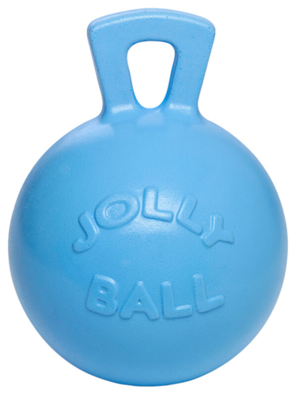 Jolly Ball Spielball für Pferde oder Hunde 25 cm HellblauWaldbeere